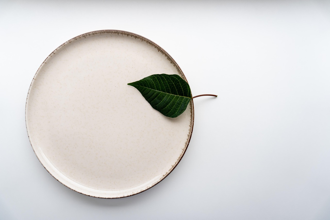 plate, leaf, nature, blank, empty, copy space, top view, plate, plate, plate, plate, plate, top view