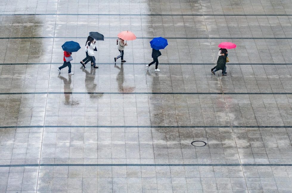 rain, nature, people, umbrellas, wet, weather, thunderstorm